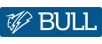 логотип бренда BULL