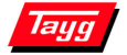логотип бренда TAYG