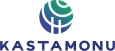 логотип бренда KASTAMONU