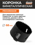 Радик Хайруллин