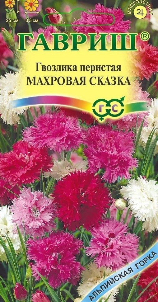 Рассказ гвоздики. Гвоздика перистая. Гвоздика перистая семена. Гвоздика перистая многолетняя махровая смесь. Гвоздика перистая Садовая.