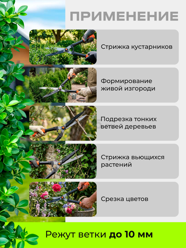 Ножницы для кустов STARTUL Garden (ST6096-02) - Фото 2