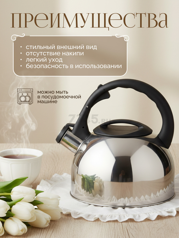 Чайник со свистком PERFECTO LINEA Magnum 2,5 л (52-025018) - Фото 2