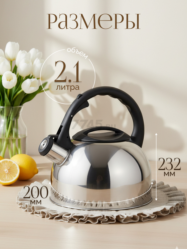 Чайник со свистком PERFECTO LINEA Magnum 2,5 л (52-025018) - Фото 3