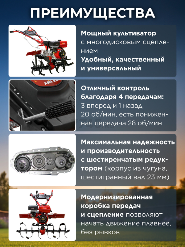 Культиватор бензиновый ASILAK SL-84L - Фото 2