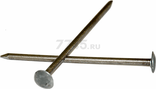 Гвозди шиферные 4х120 мм STARFIX 1 кг (SMP4-49645-1)