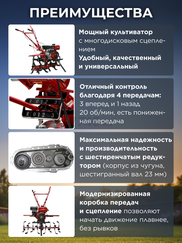 Культиватор бензиновый ASILAK SL-85L (AS1555-9) - Фото 2