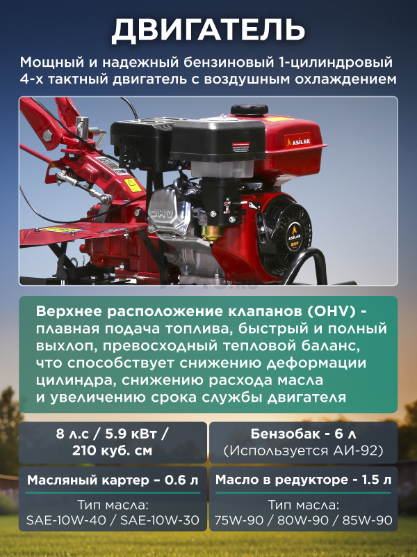 Культиватор бензиновый ASILAK SL-85L (AS1555-9) - Фото 4
