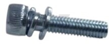 Винт M5х10 с шайбой и гровером для бензокосы 43/52см3 RIPARTS (GTP-SM5*10)