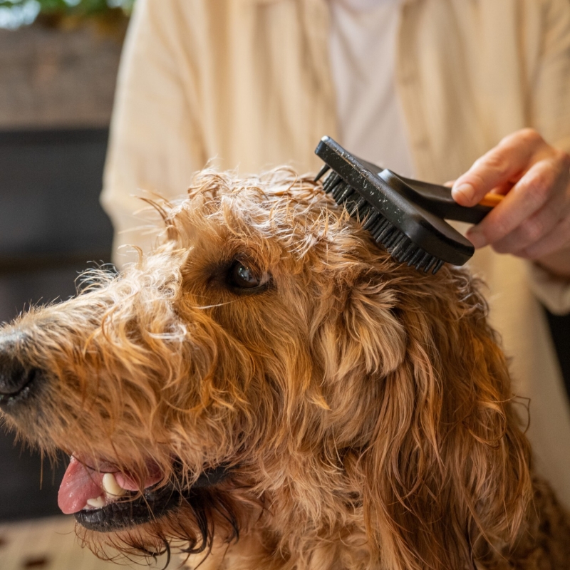 Щетка для шерсти силиконовая PET FISKARS (2009140) - Фото 4