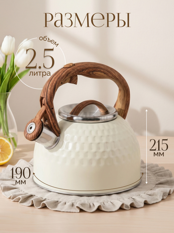 Чайник со свистком PERFECTO LINEA Masala 2,5 л (52-254673) - Фото 3
