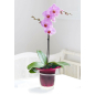 Кашпо для орхидей IDEA Адель 1 л малиновое (М3104) - Фото 3