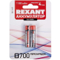Аккумулятор ААА Ni-MH REXANT 1,2 V 1100 mAh 2 штуки (30-1411)