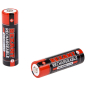 Аккумулятор АА Ni-MH REXANT 1,2 V 2800 mAh 2 штуки (30-1428) - Фото 3