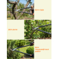 Сучкорез STARTUL Garden (ST6096-03) - Фото 6