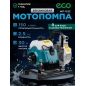 Мотопомпа ECO WP-153C