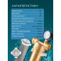 Фильтр магистральный самопромывной AV ENGINEERING 3/4" 100 мкм с манометром (AVE115702) - Фото 4