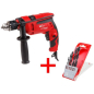 Дрель ударная WORTEX DS 1306-2 (DS130620019A2)
