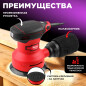 Шлифмашина эксцентриковая (орбитальная) WORTEX LX RS 1225 (0325159)