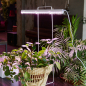 Светильник для растений полного спектра UNIEL ULI-P12 10 Вт (UL-00007512) - Фото 13