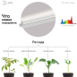 Светильник для растений полного спектра ЭРА FITO-18W-T5-Ra90 Т5 18 Вт - Фото 8
