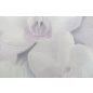 Обои виниловые ПАЛИТРА Orchid (HC71421-11) - Фото 2