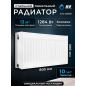 Радиатор стальной AV Engineering Expert ES 22-3-08 300х800 мм (AVE-22308S)