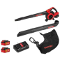 Воздуходувка аккумуляторная WORTEX BB 2536-1 D XLT SET (1333418) - Фото 2