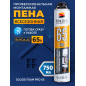 Пена монтажная SOLIDE Foam Pro 65 750 мл (SL-76517-1)
