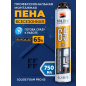 Пена монтажная SOLIDE Foam Pro 65 750 мл (SL-76517-1)