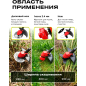 Триммер аккумуляторный WORTEX TB 3018-1 AT XLT SET (1333547) - Фото 3