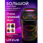 Колонка портативная беспроводная URZUS Gravity UR-541114
