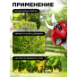 Секатор аккумуляторный WORTEX CBS 2030 ALL1 SOLO (1329774) - Фото 4