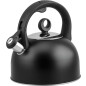 Чайник со свистком PERFECTO LINEA Eclipse 3 л (52-034303)