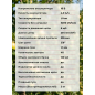 Пила цепная аккумуляторная WORTEX CEC 2518-3 ALL1 XLT SET (2325004) - Фото 16