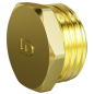 Заглушка латунная 1" c наружной резьбой LD (LD.65.505.25)