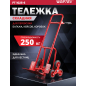 Тележка складная WORTEX FT 1025-6 (1335902)