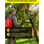 Опрыскиватель ранцевый аккумуляторный WORTEX LX KS 1220-1 Li ALL1 XLT SET (2335133) - Фото 4