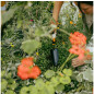 Совок садовый FISKARS OneClick (1080693) - Фото 7