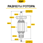 Ротор для болгарки DeWalt D28132C, D28135, D28136, D28137 IGP аналог N398000 (7143049) - Фото 3