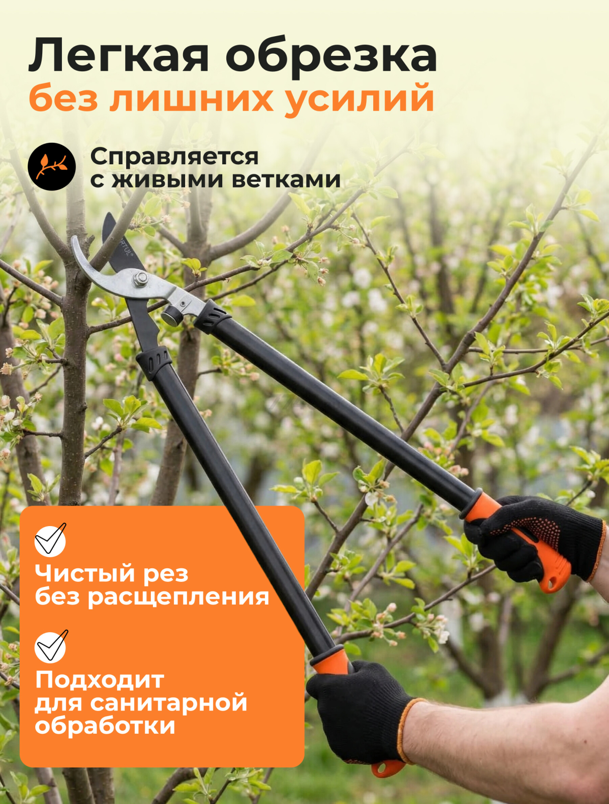 Сучкорез STARTUL Garden (ST6096-03) - Фото 2