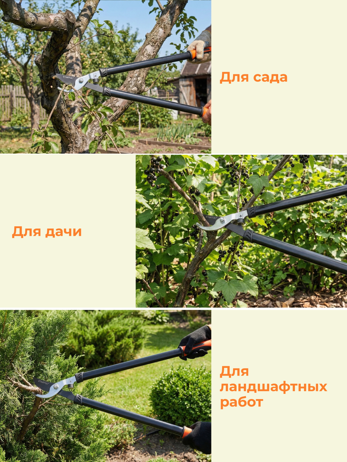 Сучкорез STARTUL Garden (ST6096-03) - Фото 6