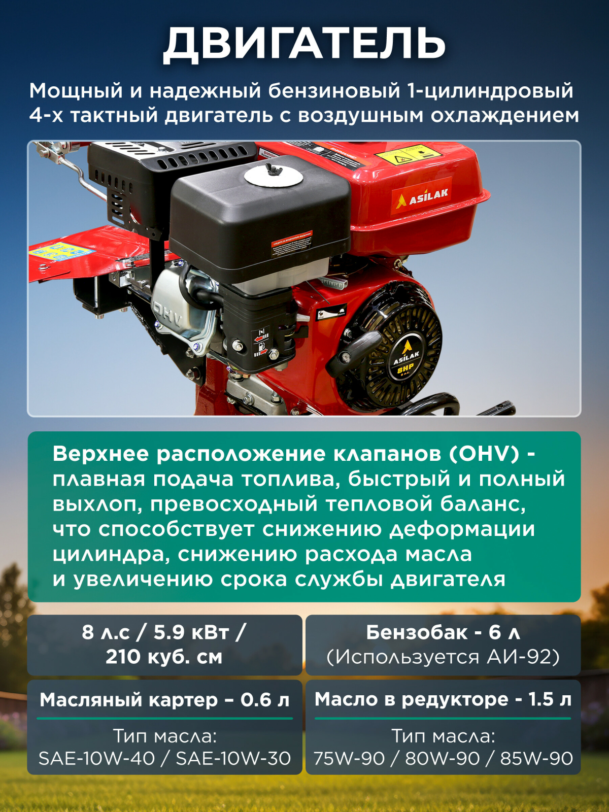 Культиватор бензиновый ASILAK SL-84L - Фото 4