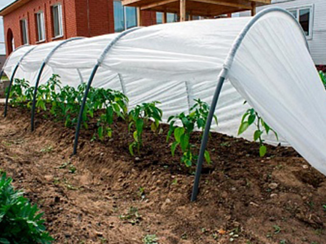 Парник ОСТРОВ КОМФОРТА Бабушкин парничок 8 м (48146920001780)