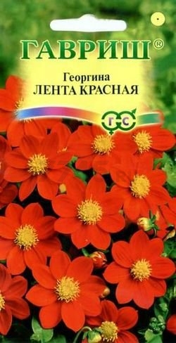 Семена георгины Цветочная коллекция Лента красная ГАВРИШ 0,2 г