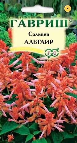 Семена сальвии Цветочная коллекция Альтаир ГАВРИШ 5 штук