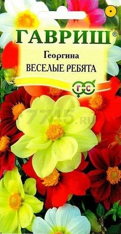 Семена георгины Цветочная коллекция Веселые ребята ГАВРИШ 0,3 г
