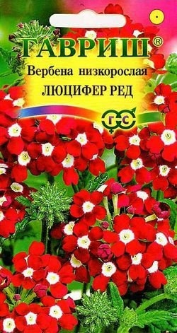 Семена вербены Цветочная коллекция Люцифер Ред гибридная ГАВРИШ 0,1 г