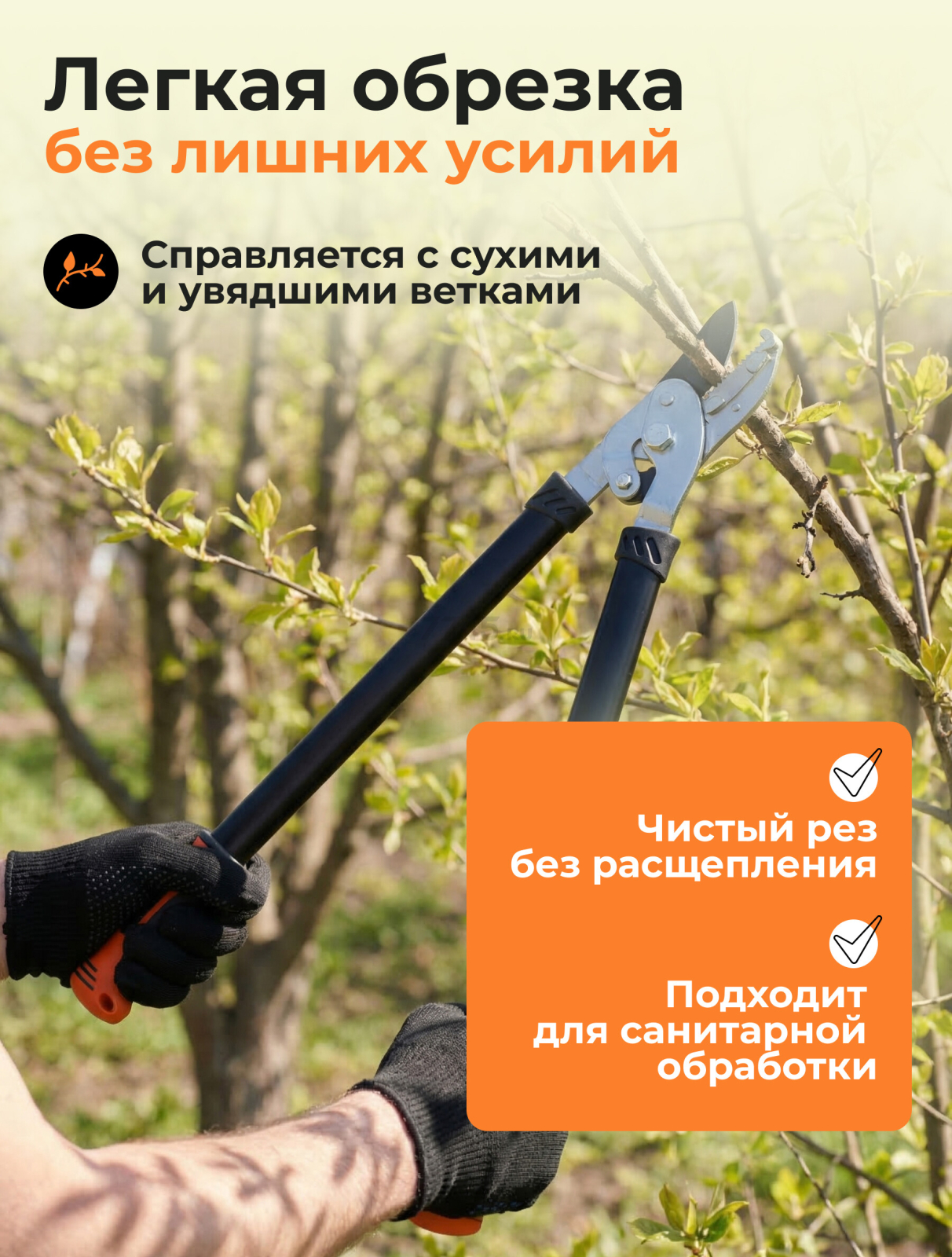 Сучкорез STARTUL Garden (ST6096-04) - Фото 2