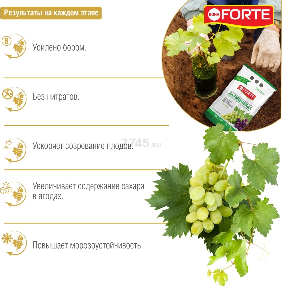 Удобрение минеральное BONA FORTE Для винограда 2 кг (BF23010281) - Фото 2